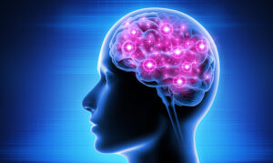 Human Head with Brain Activity
