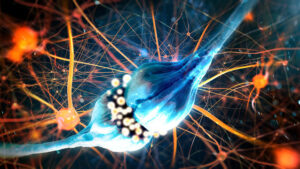 Blog post 42 - Neurotransmitters Cover